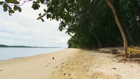 Ruhige-Landschaft-Am-Strand-Von-Coney-Island-In-Singapur---Breite-Aufnahme