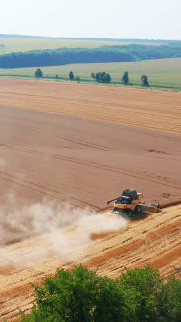 beautiful ripe wheat field being mowed by modern harvester machines. powerful combines working in the farmlands. wonderful scenery at background. vertical video