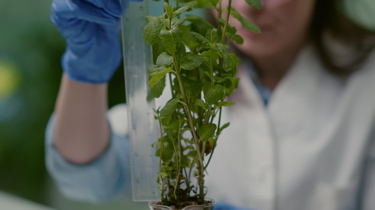 Closeup of pharmaceutical doctor measure green sapling