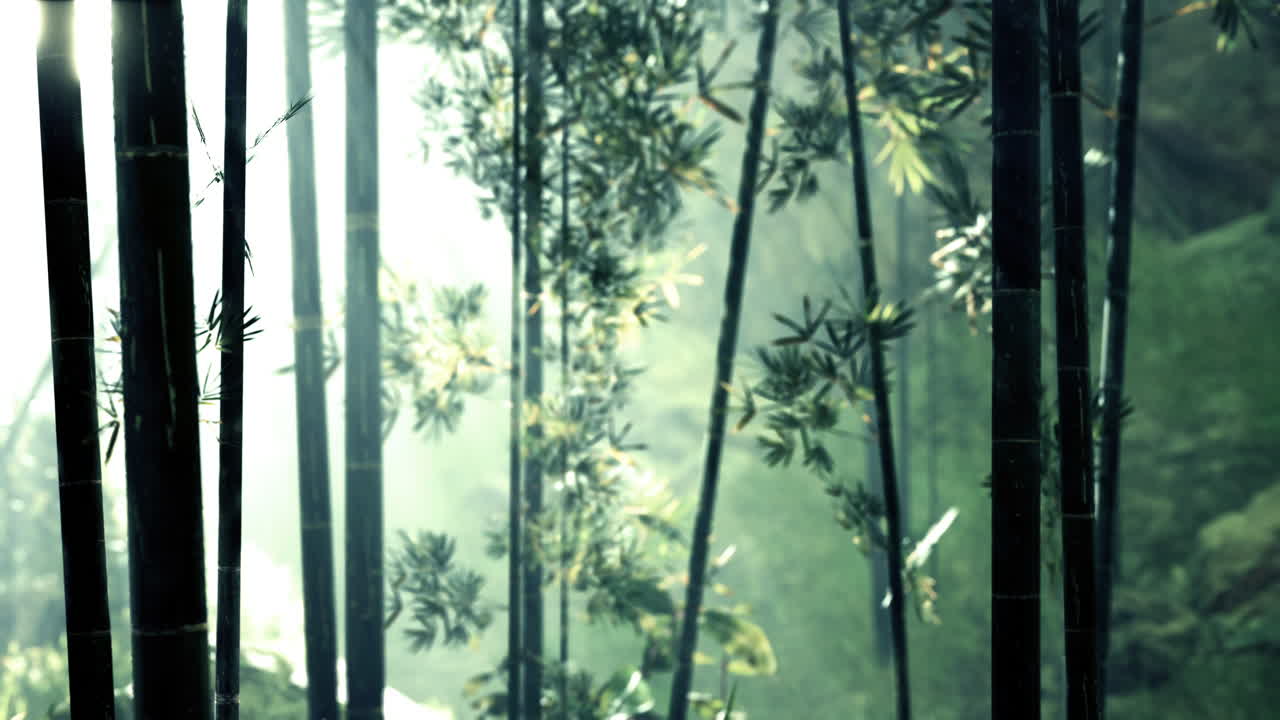 selvas tropicales del sudeste asiático