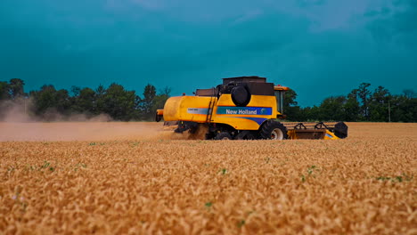 harvester machine working on golden field in summer. modern combine harvester collecting ripe grains. side view.