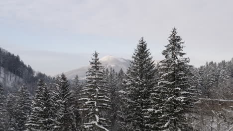 Winterschnee,-Der-Eine-Bergige-Waldregion-In-Tschechien-Bedeckt