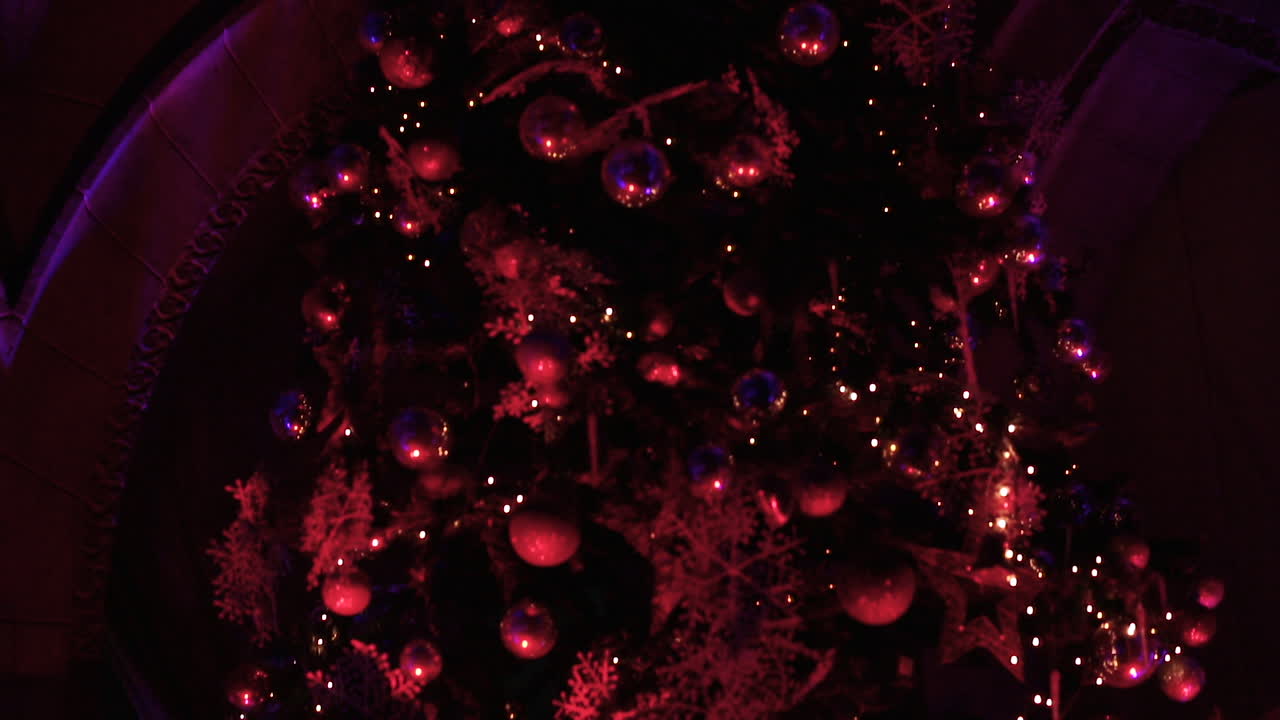 エジプトのクリスマス ツリー - ローアングル - クローズ アップ