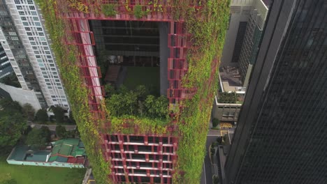 vertical garden on a skyscraper