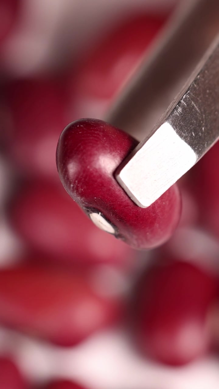 Primo piano di pinzette che tengono un fagiolo rosso su uno sfondo sfocato di fagioli simili. La macrofotografia evidenzia la consistenza.