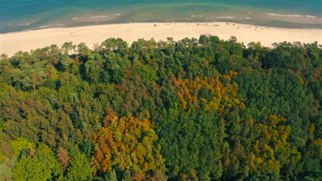 Drohnenblick-über-Wald,-Strand-Und-Meer-An-Sonnigen-Sommertagen