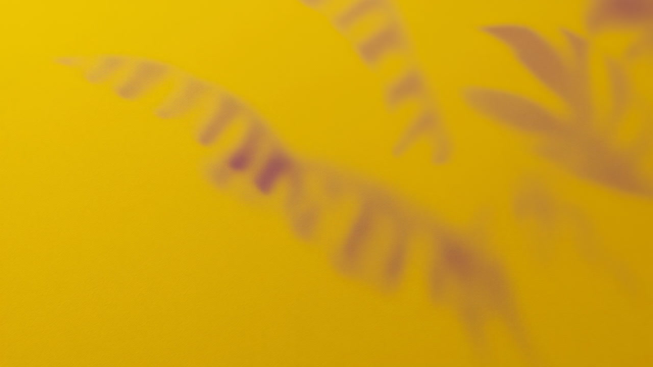 Soft Fern Shadow On Yellow Backdrop, Outoffocus Botanical Silhouette With Warm Golden Tones, Airy Shallow