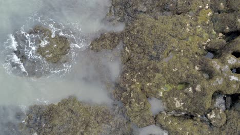 Vista-Aérea-De-Pájaro-Por-Encima-De-La-Costa-De-Algas-Rocosas-Paisaje-De-Piscina-De-Roca-Moviéndose-Hacia-Abajo