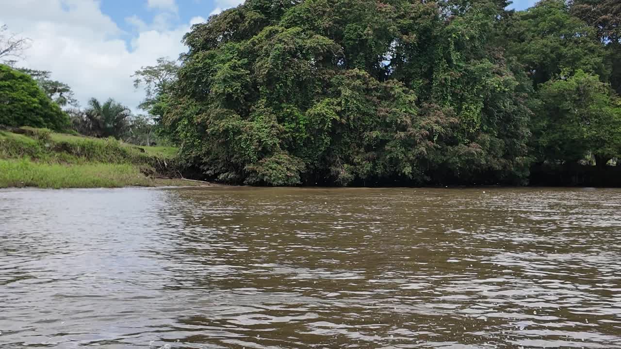 Navegando a toda velocidad por un río en la costa caribeña de Costa Rica