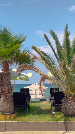 Palm-tress-and-beach-sun-umbrellas-at-the-sea,-vertical-video