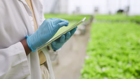 Botanist,-hands-and-greenhouse-with-woman