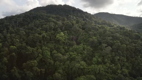 Tiro-De-Seguimiento-Aéreo-De-Exuberante-Selva-Tropical-Densa-Con-Hils