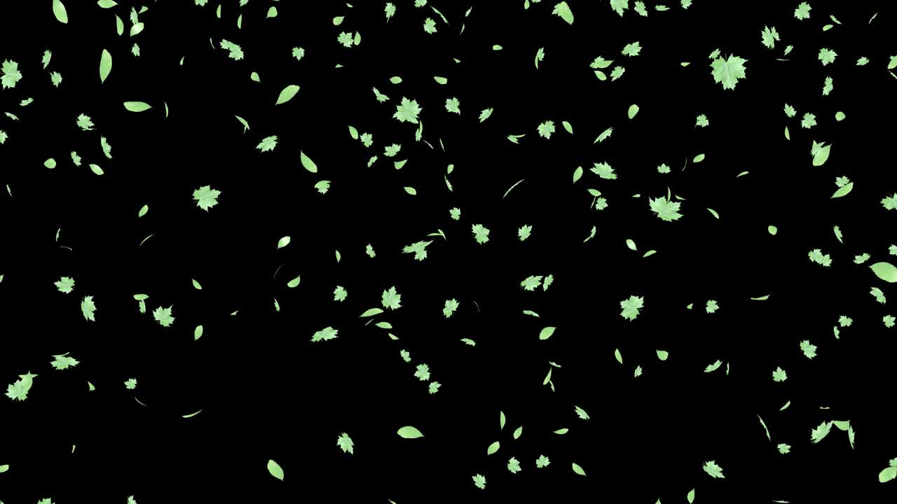 나무의 초록색 잎으로 여름 배경 장식.