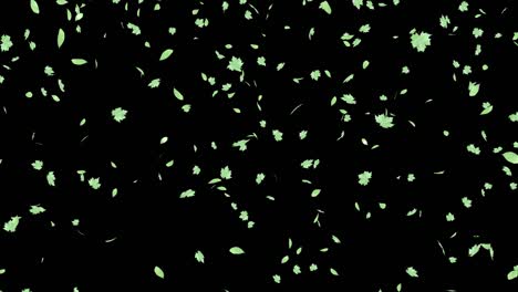 summer background decoration with green leaves of trees.