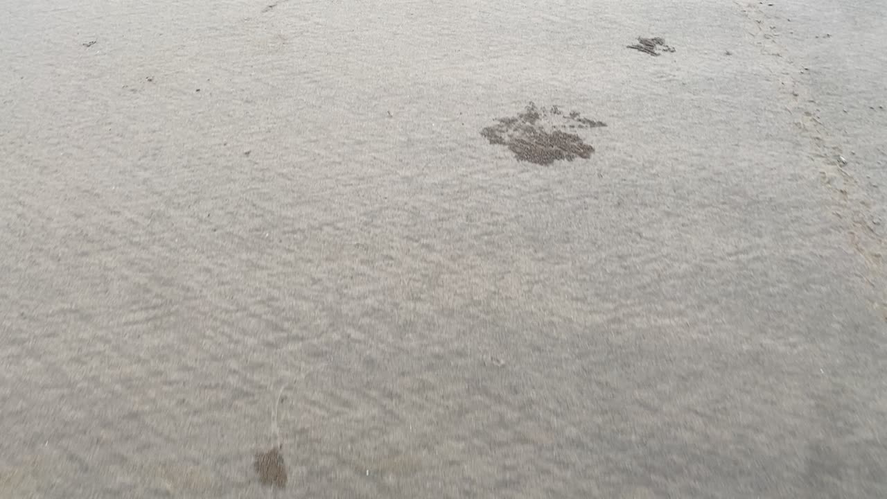 아름다운 일몰과 함께 해변의 모래사장에 있는 발자국의 클로즈업 시네마틱 김블 샷