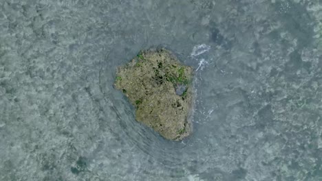 Top-Down-Slow-Motion-Drone-View-of-Waves-crashing-over-shallow-coral-reef-and-big-rock-in-Uluwatu-Bali-Indonesia