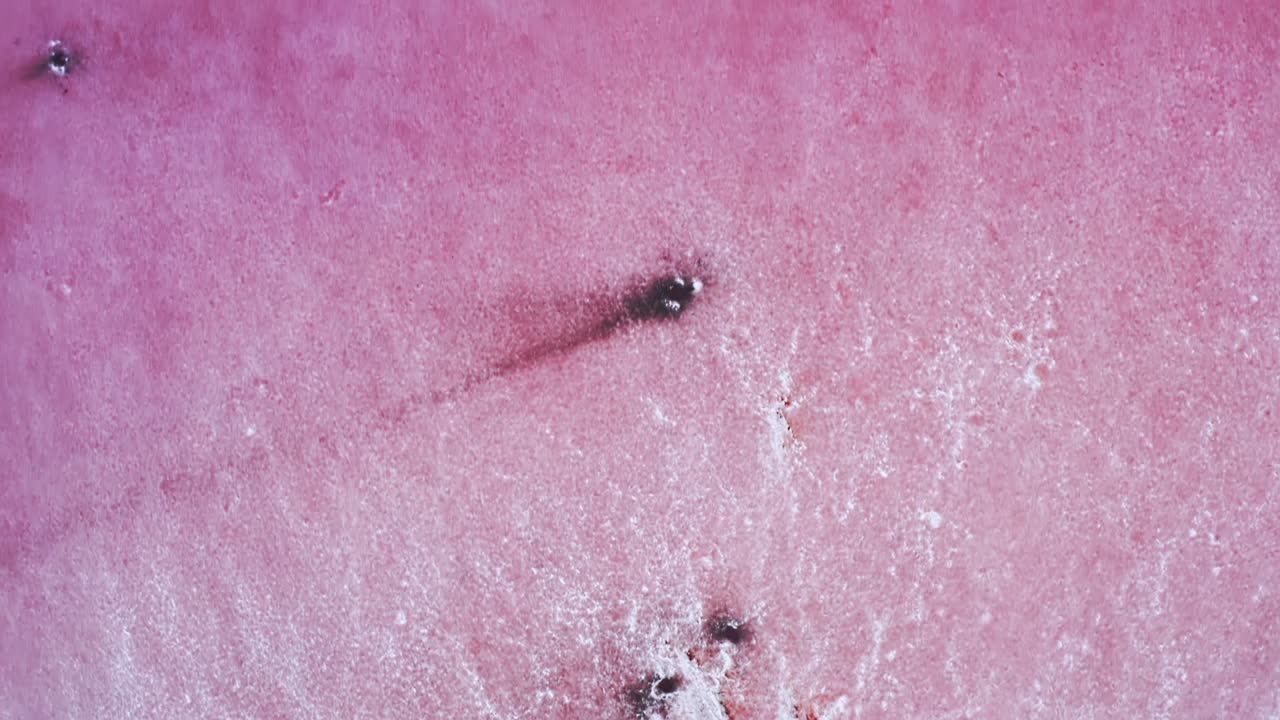 조류로 인한 숨이 멎을 듯한 자연 현상인 분홍 소금 호수 위로 공중 조감도