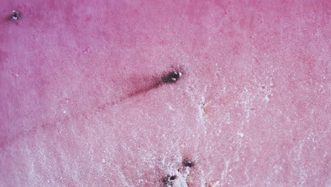 Aerial-bird's-eye-view-over-a-pink-salt-lake,-which-is-a-breath-taking-natural-phenomena-caused-by-algae