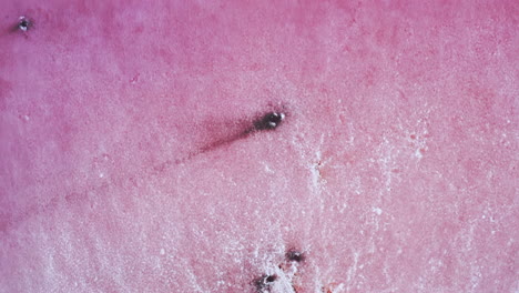 aerial bird's eye view over a pink salt lake, which is a breath-taking natural phenomena caused by algae