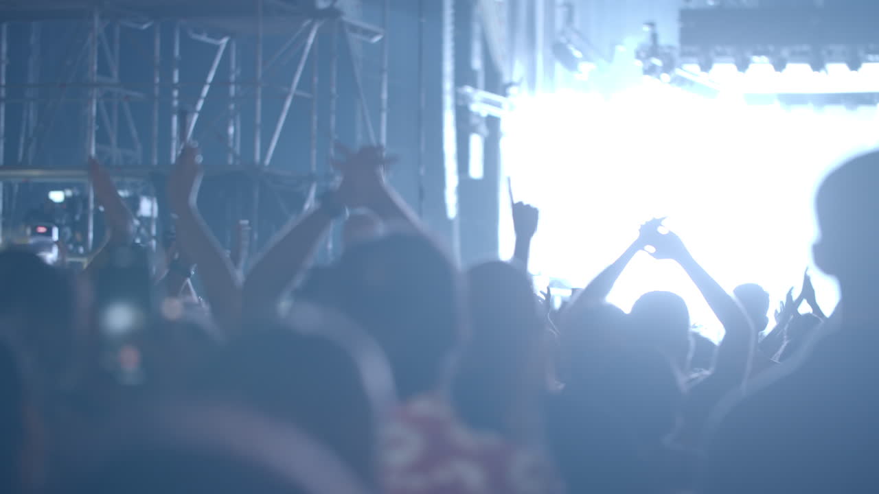 Concerto rock con una folla di persone estasiate