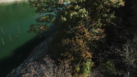 View-From-Above-Of-Autumn-Trees-And-Lake-Near-Eagle-Hollow-In-Arkansas,-USA