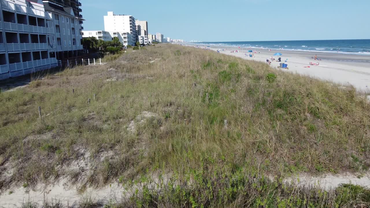 dunas de playa de mirto con hierba alta junto al océano en primavera