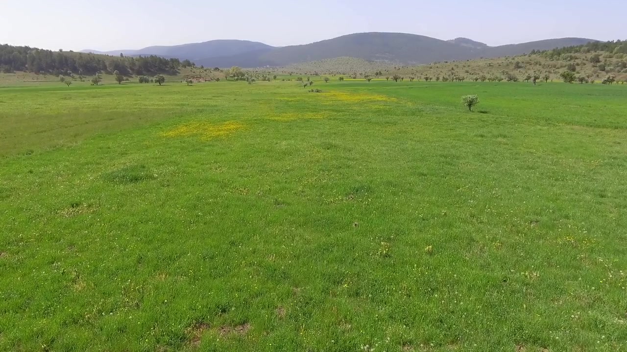 Pemandangan Udara Padang Rumput Hijau Subur dengan Pegunungan di Kejauhan
