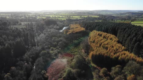 aerial view of woodland forest located in blackdown hills area of outstanding natural beauty south of otterford in somerset