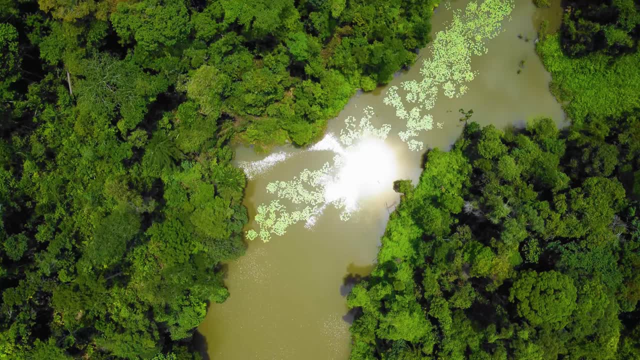 sorprendentes imágenes cinematográficas de drones residenciales de 4k después de que el problema de la deforestación consiste en muchas casas, carreteras, árboles, lagos e infraestructura en medio del bosque tropical ubicado en riau, indonesia