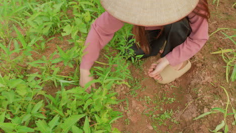 woman in a conical hat farming in a green field