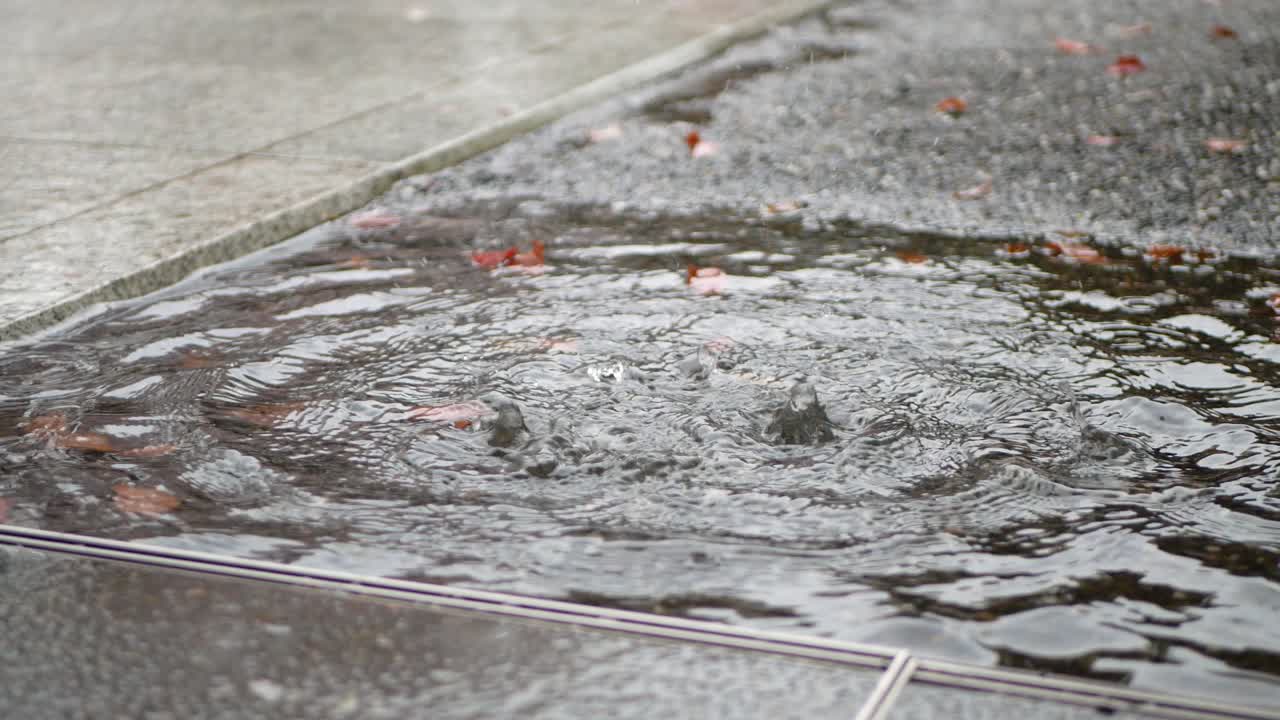 Raindrops ripple in puddles on a gray city sidewalk in autumn