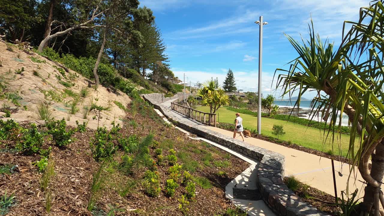 호주 선샤인 코스트에 있는 새로운 물루라바 보드워크를 따라 개를 산책시키는 성숙한 여인