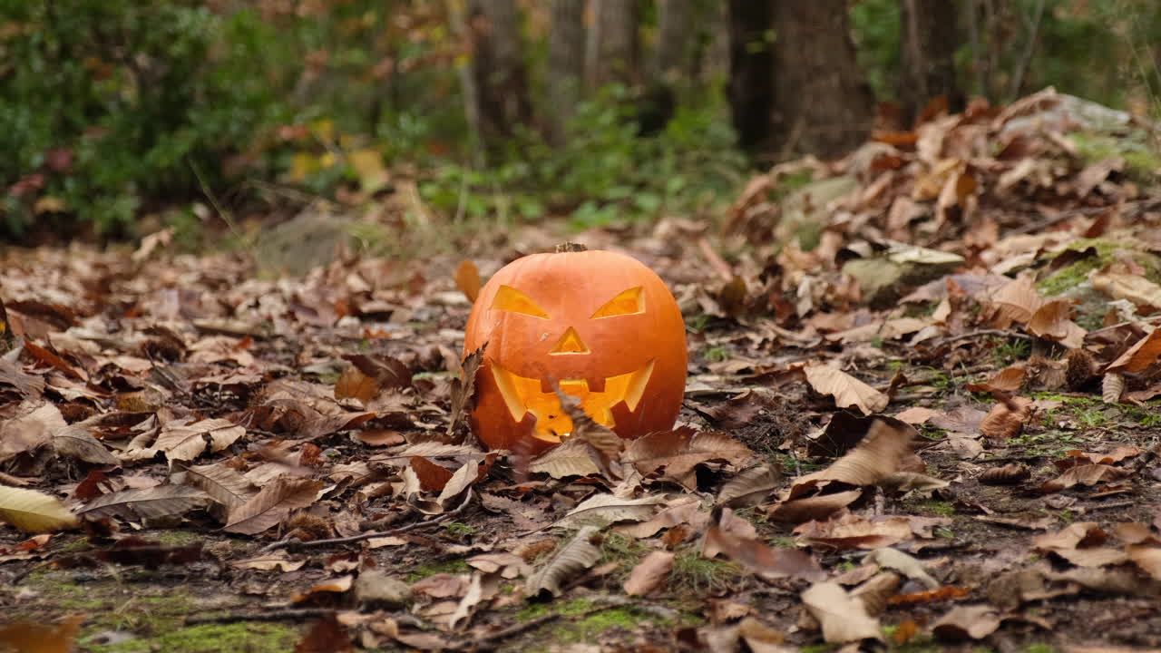 santificando la espantosa calabaza y las hojas de otoño que caen en el bosque