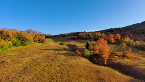 vista aérea descendente de una impresionante pradera de montaña en un bosque con colores otoñales