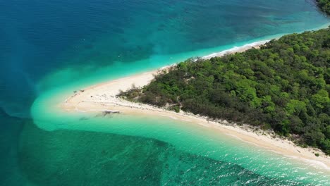 una vista aérea muestra las islas frankland frente a queensland australia 1