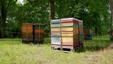 Ein-Bienenstock-Im-Stadtpark