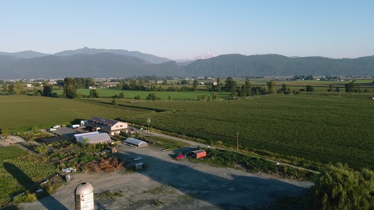 화창한 여름날 산골짜기 농장 위를 1-4번 공중 비행하며, 자연 경관이 잘 익은 풍부한 수확물과 함께 경작된 시골에서 농작물 포도밭 과일의 무성한 녹색 줄이 있습니다.