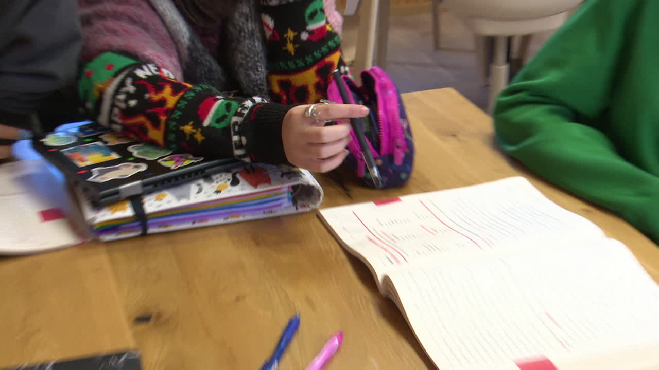 estudiantes estudiando juntos en un café