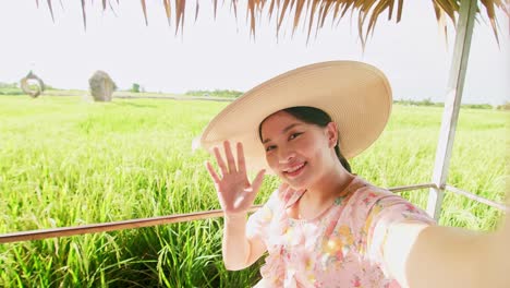 lovely woman making video call showing large rice production field