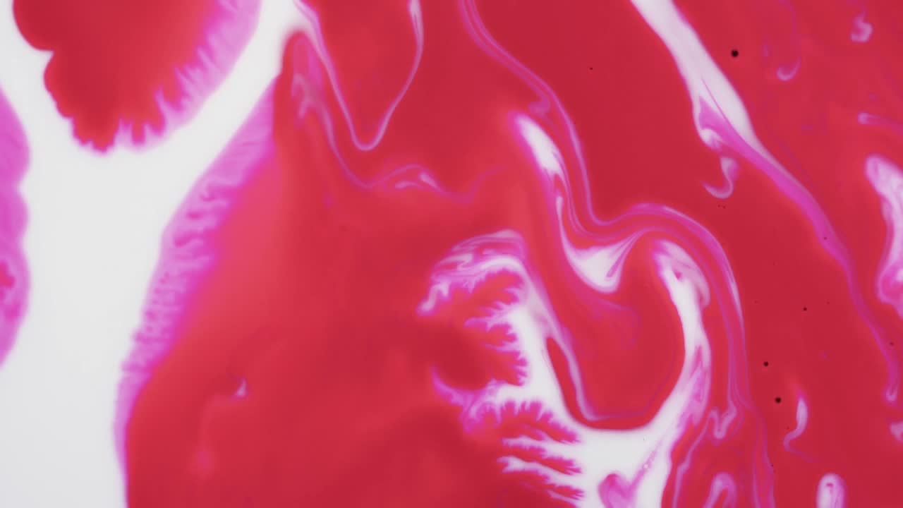 video de primer plano de tinta roja y blanca en el agua con espacio para copiar