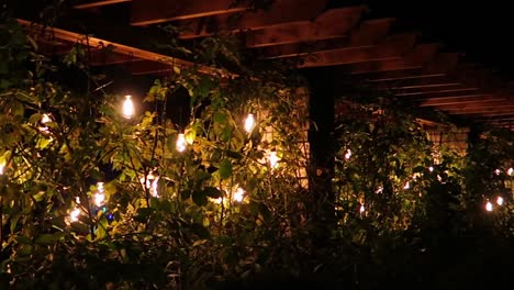 hanging lightbulbs with warm orange glow, hanging from a vine arch