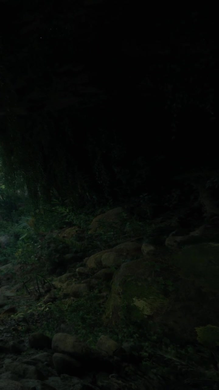 Sentiero attraverso una foresta che conduce alla luce da un'apertura vicino a delle rocce