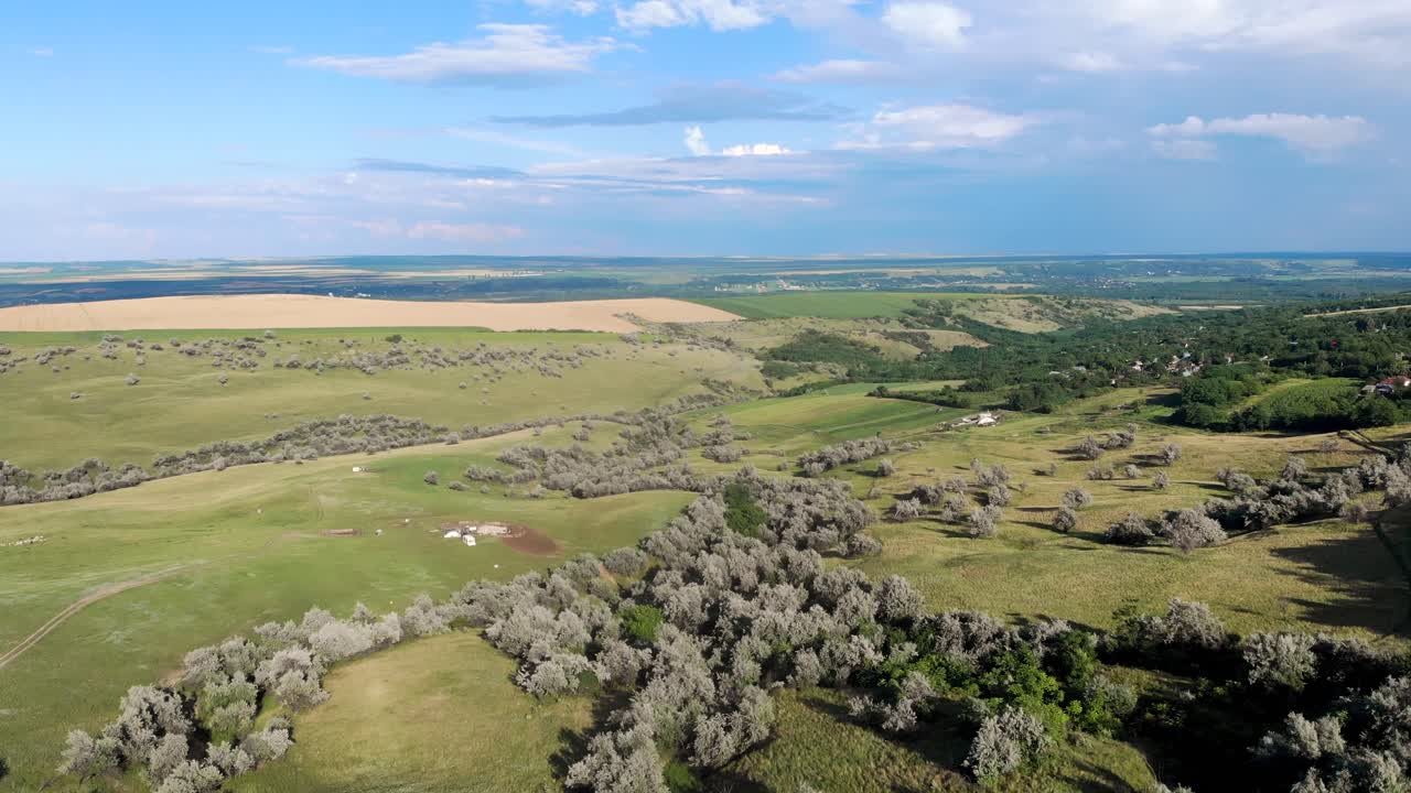 푸른 하늘 아래 울창한 식물이 있는 언덕의 푸른 지형의 파노라마 풍경