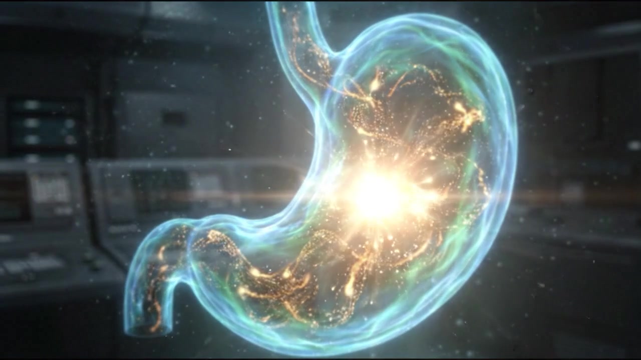 Holographic 3D Model of Human Stomach in Laboratory