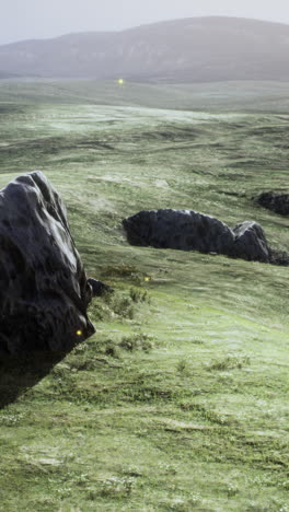 alien grassland with glowing lights