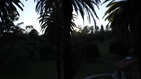 Drone-shot-beginning-at-picnic-area-of-park-panning-up-to-multiple-palm-trees-during-golden-sunset-hour-with-sun-flare-and-clear-blue-skies-in-Los-Angeles,-California-park