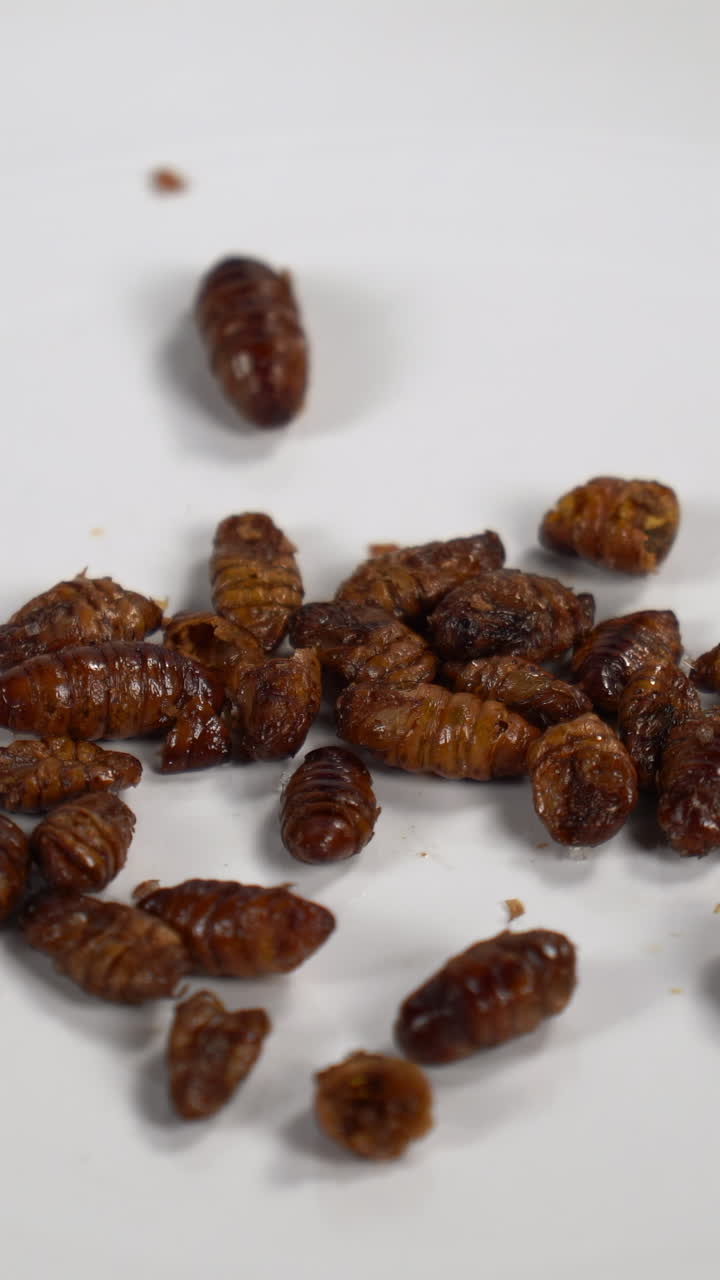 Roasted Edible Silkworm Pupae Falling on White Background