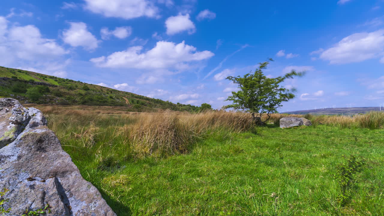 Time lapse of rural landscape with a single tree along rocky grassland and on a spring sunny day in Arigna mountains in county Leitrim in Ireland