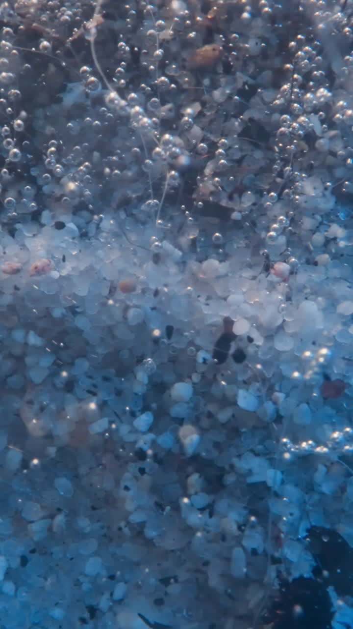 Fast water stream carries dirt pieces and small air bubbles on transparent creek bottom. Underwater landscape with white pebbles and plants roots
