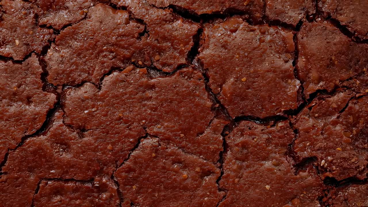 Počáteční snímání fotoaparátem prasklého tmavě hnědého texturovaného povrchu v detailním makro záběru, zvýrazňující trhliny